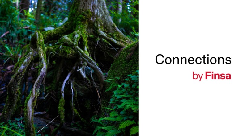 Wood Wide Web: the Internet of forests